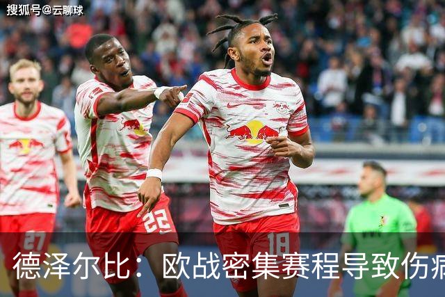 德泽尔比：欧战密集赛程导致伤病频发，热刺并非孤例